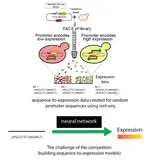 Dream Challenge: Predicting gene expression using millions of random promoter sequences